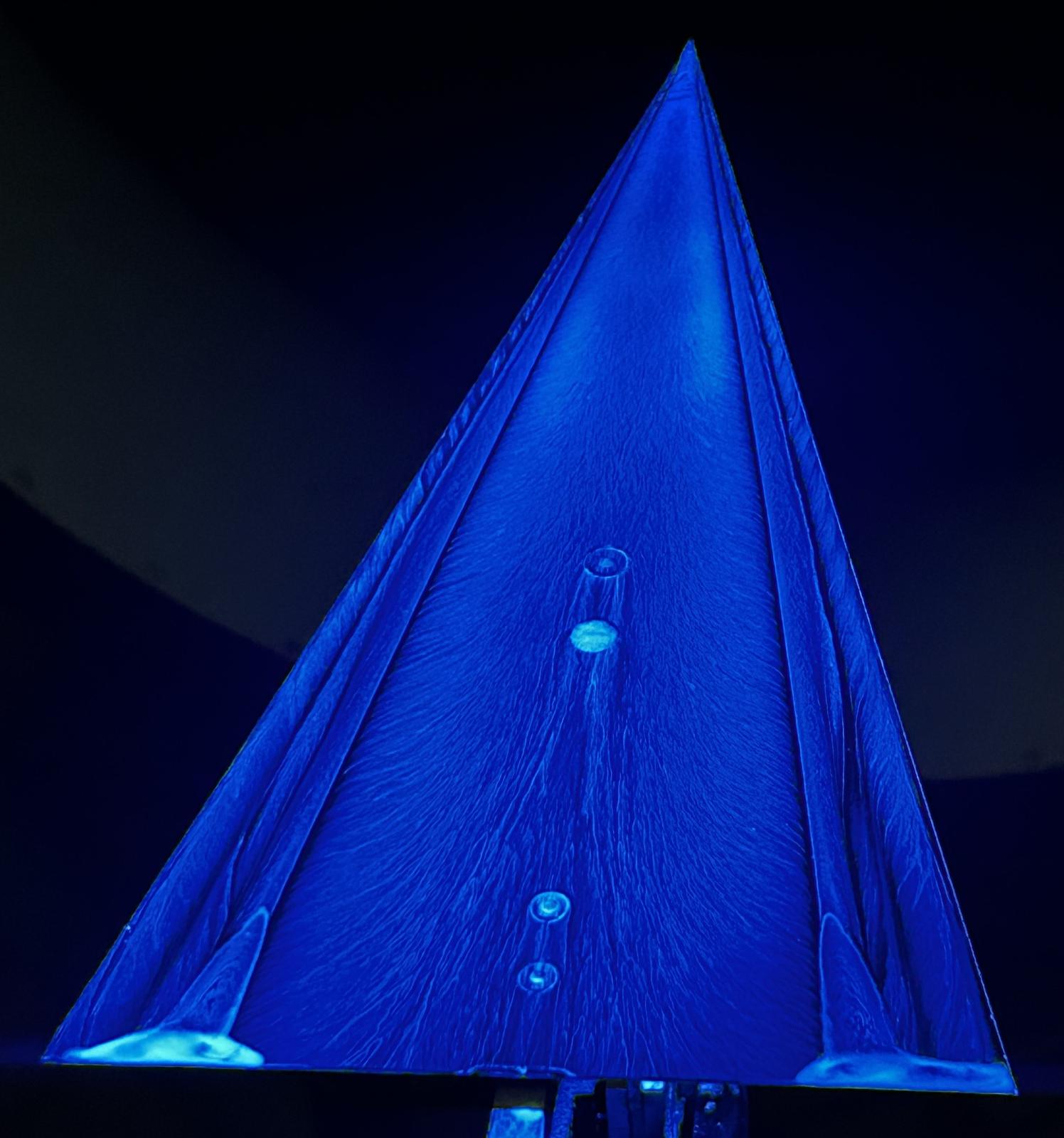Surface-flow visualisation over a delta wing